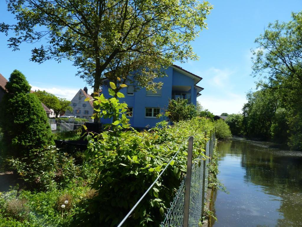 Hotel Muhleinsel Kenzingen Værelse billede